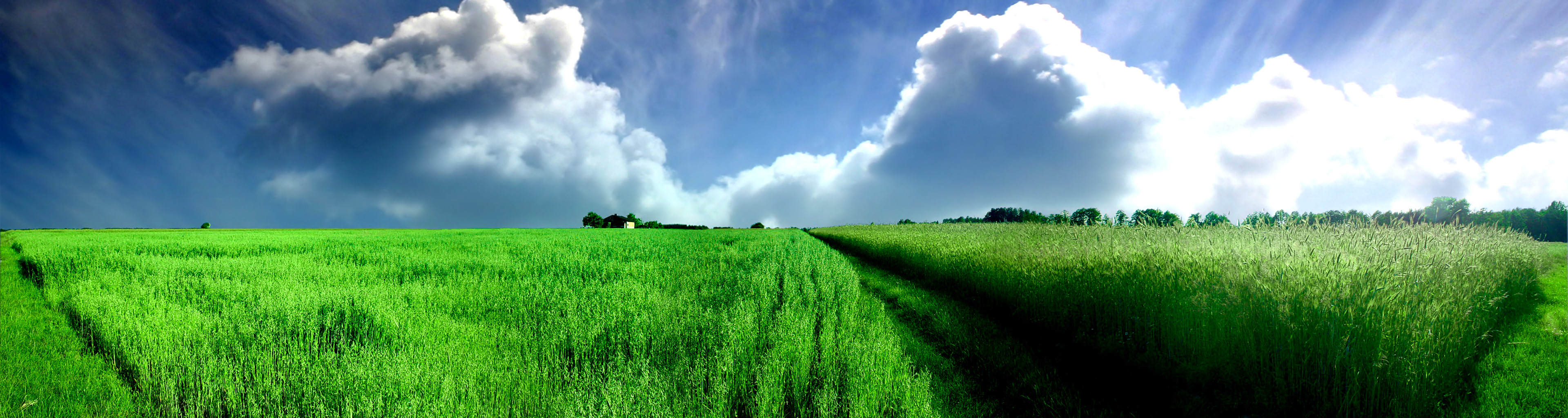 letv fondo de pantalla hd,paisaje natural,pradera,naturaleza,cielo,campo