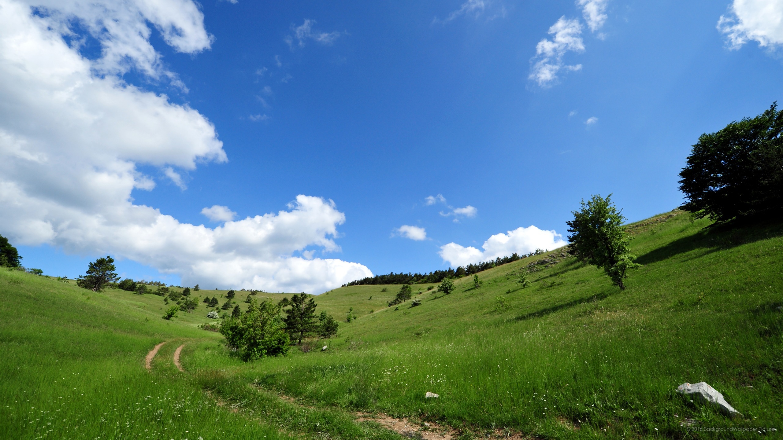 letv壁紙hd,自然の風景,空,草原,自然,緑