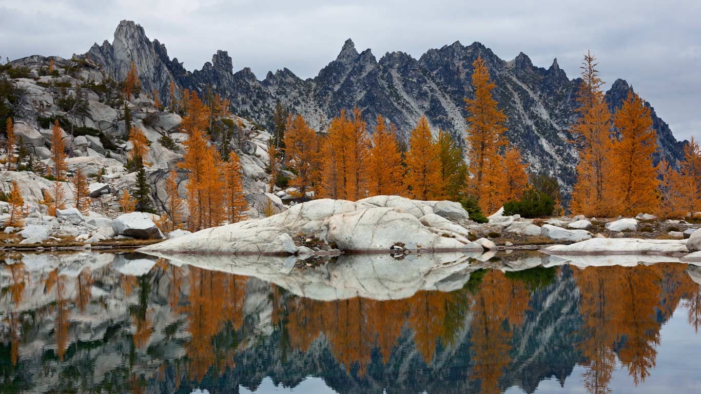 州の壁紙,反射,自然の風景,自然,山,larix lyalliisubalpineカラマツ