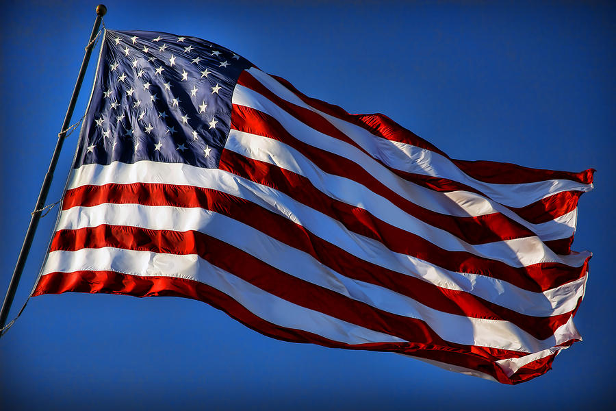 상태 벽지,깃발,미국 국기,국기의 날 미국,하늘,재향 군인의 날