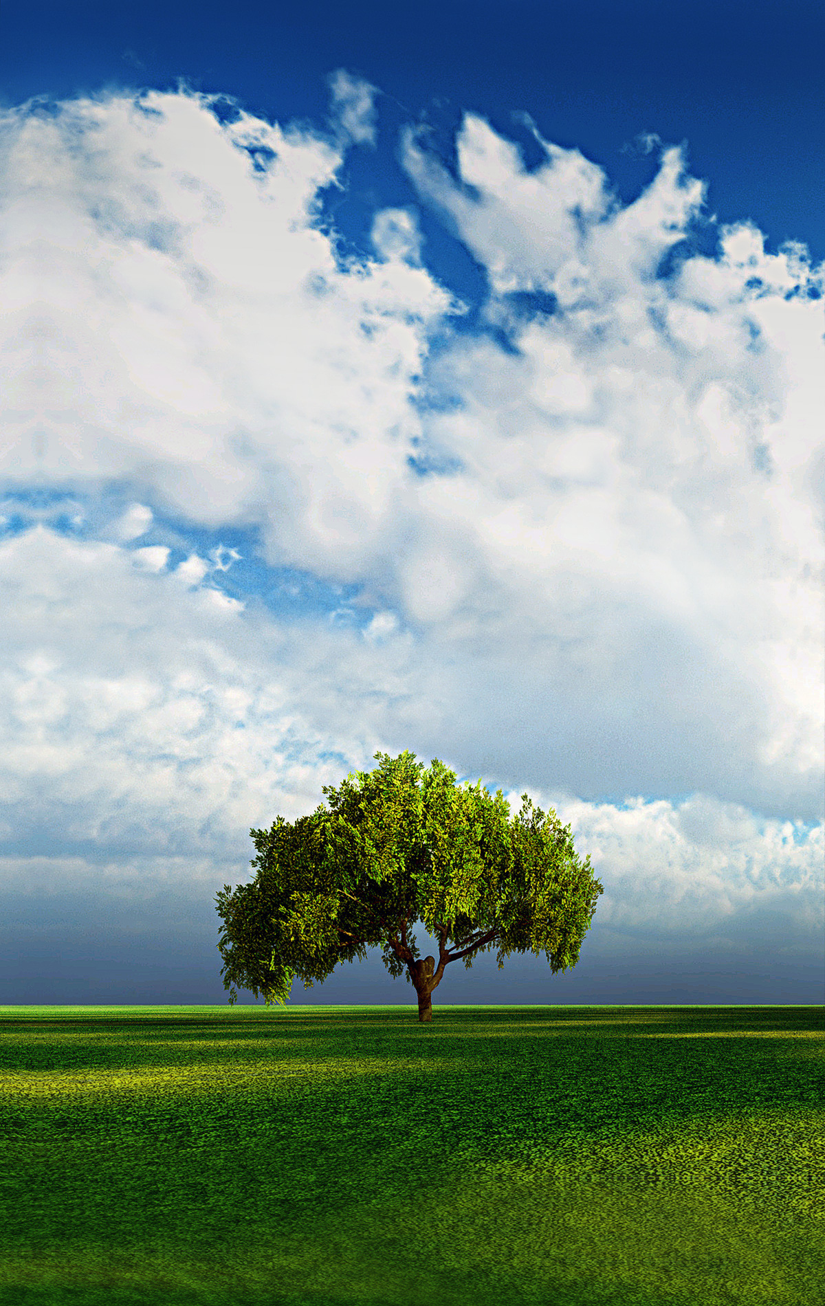 fondo de pantalla de modo,cielo,paisaje natural,naturaleza,verde,pradera