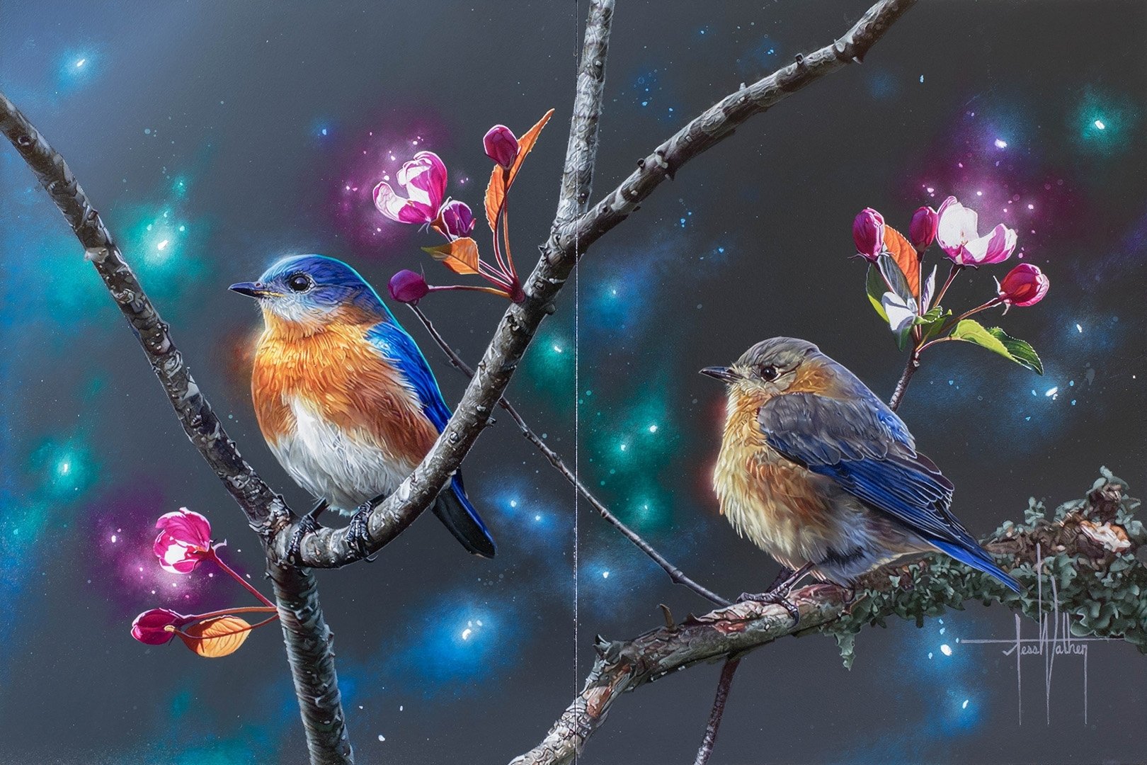 papier peint oriental,oiseau,la nature,merle bleu,oiseau chanteur,oiseau perchoir