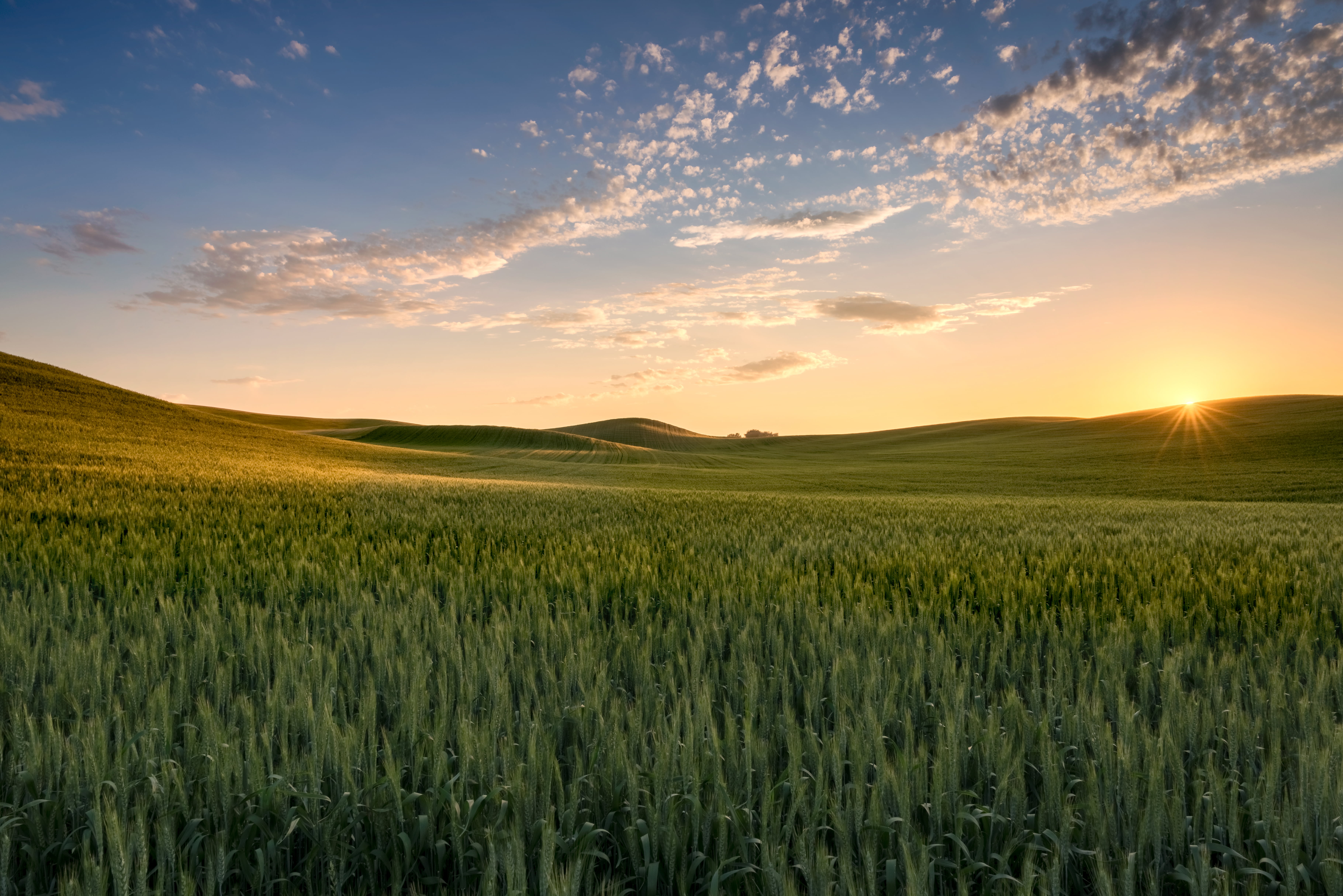 eastern wallpaper,sky,nature,natural landscape,grassland,field