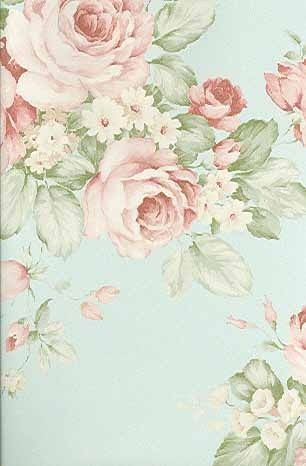 영어 장미 벽지,분홍,정원 장미,꽃,장미,꽃 무늬 디자인