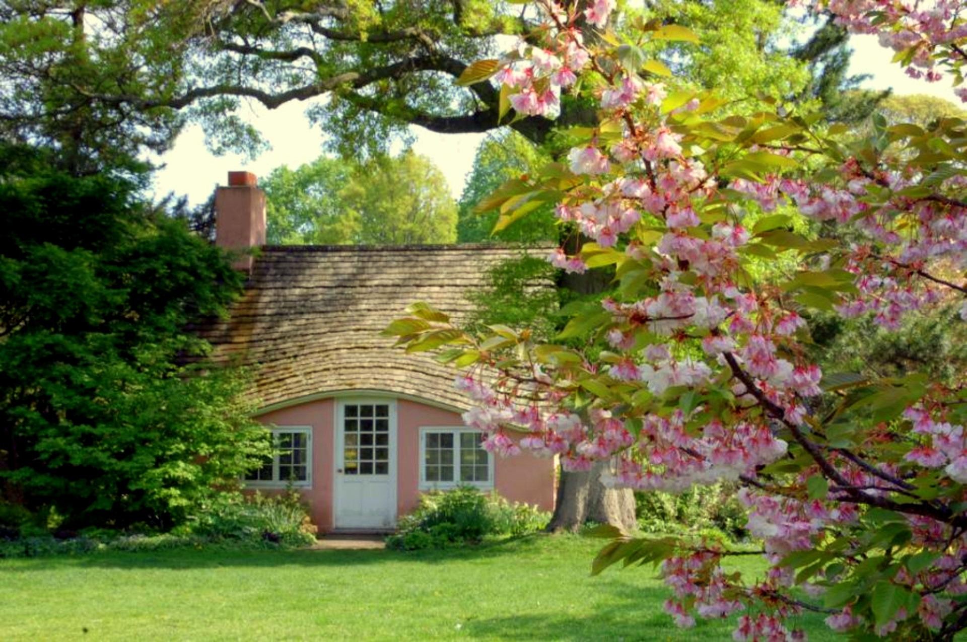 english cottage wallpaper,tree,property,house,home,plant