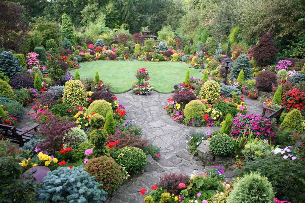 english cottage wallpaper,garden,botanical garden,nature,flower,plant