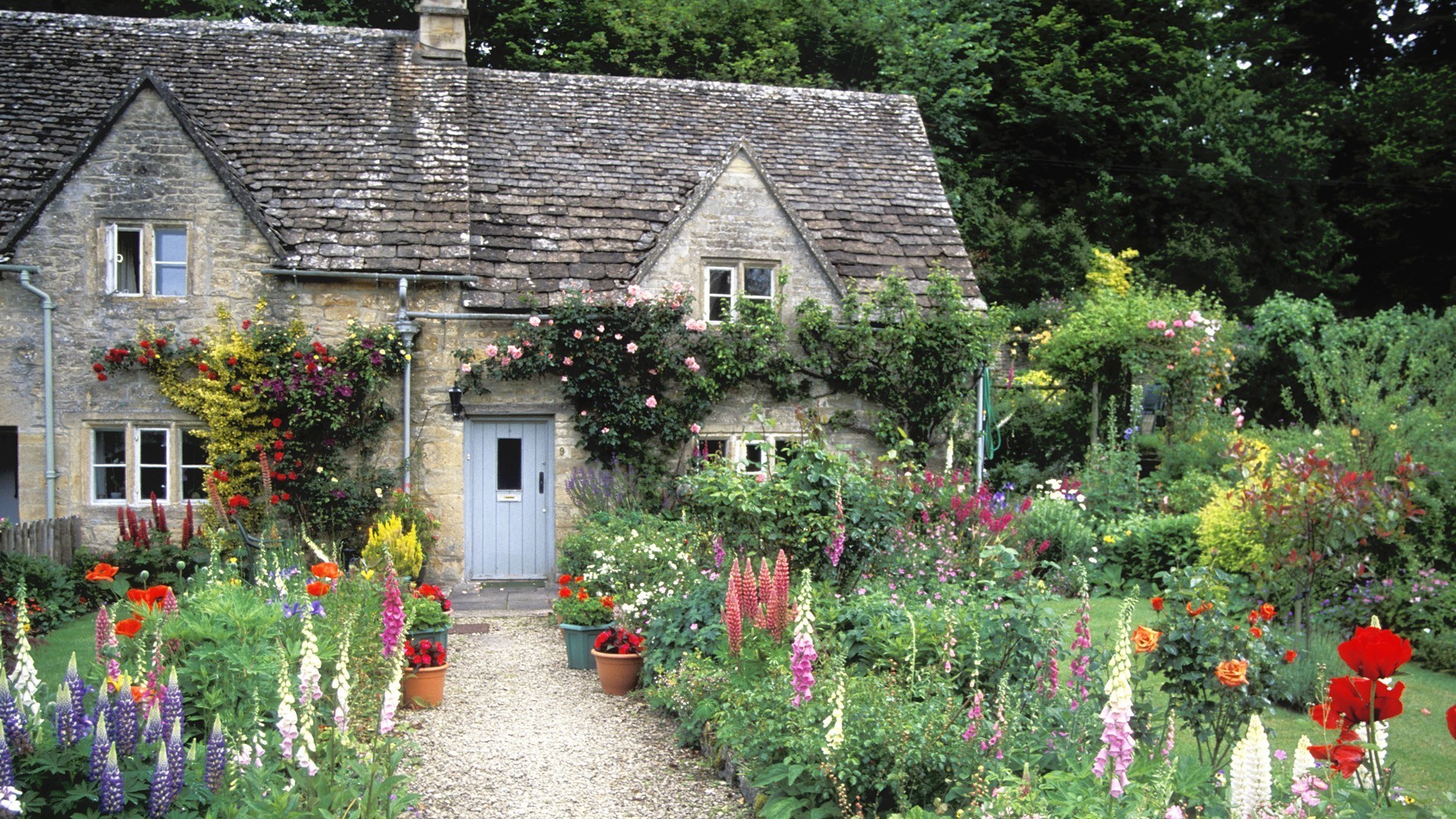 english cottage wallpaper,garden,cottage,yard,property,house