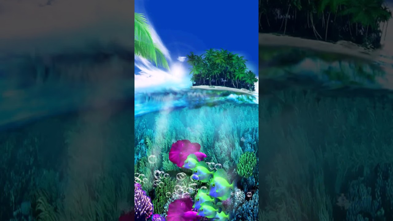 paradies live wallpaper,natur,wasser,gemälde,landschaft,wasserspiel