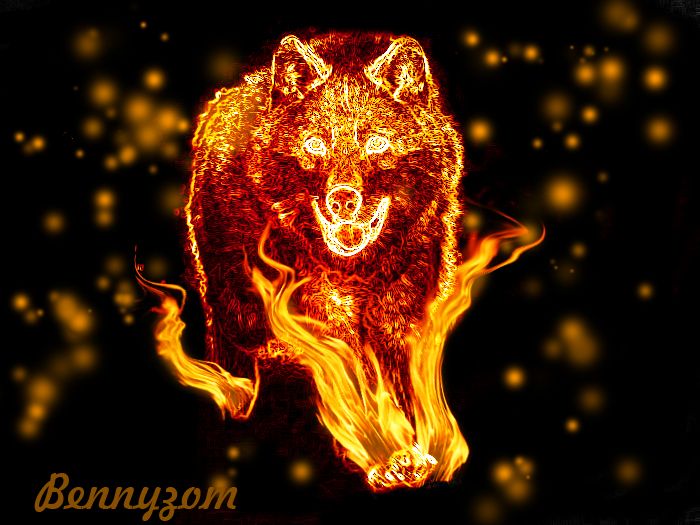 fire wolf wallpaper,bear,grizzly bear,font,carnivore,illustration