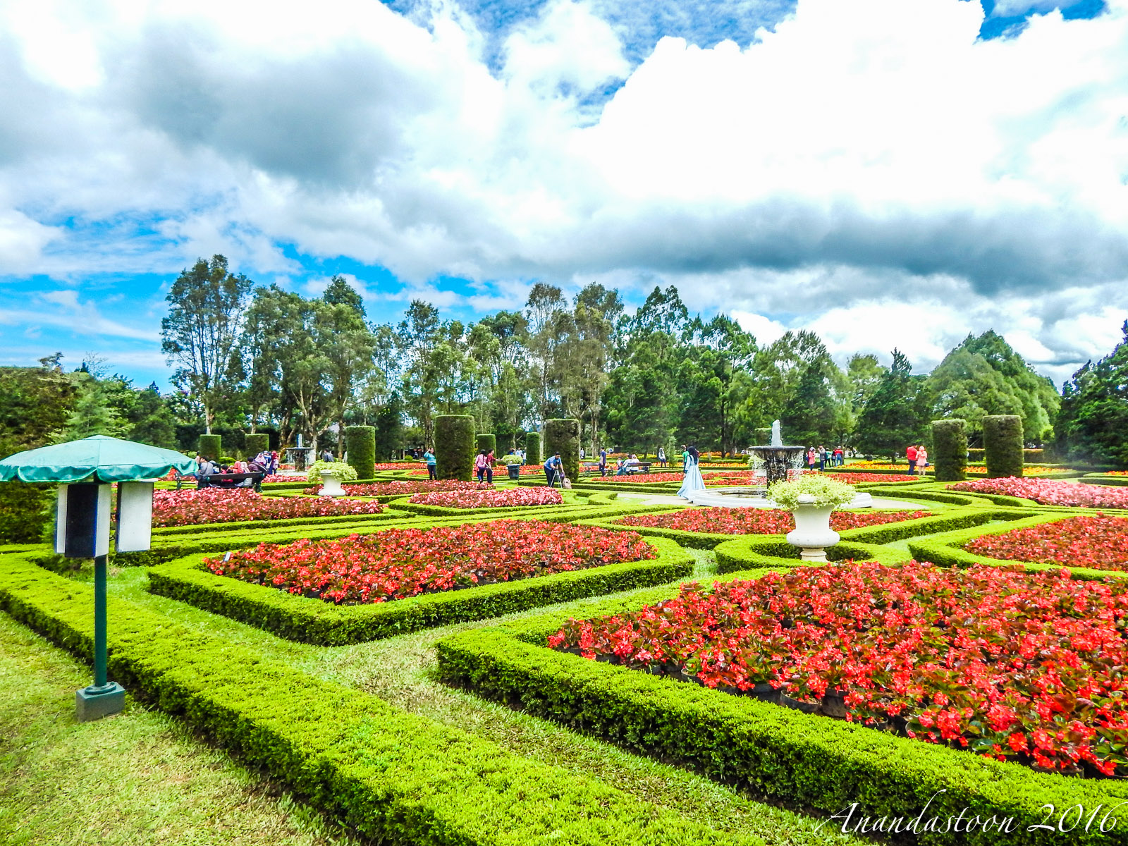 壁紙タマンブンガ,植物園,庭園,自然,自然の風景,風景