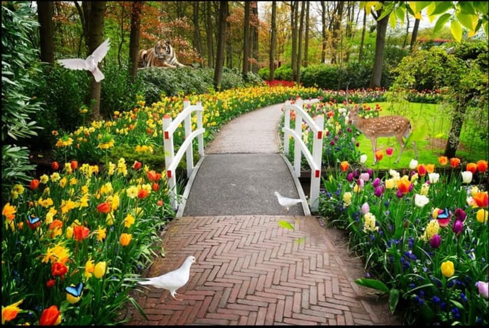 壁紙タマンブンガ,庭園,自然の風景,自然,植物園,花