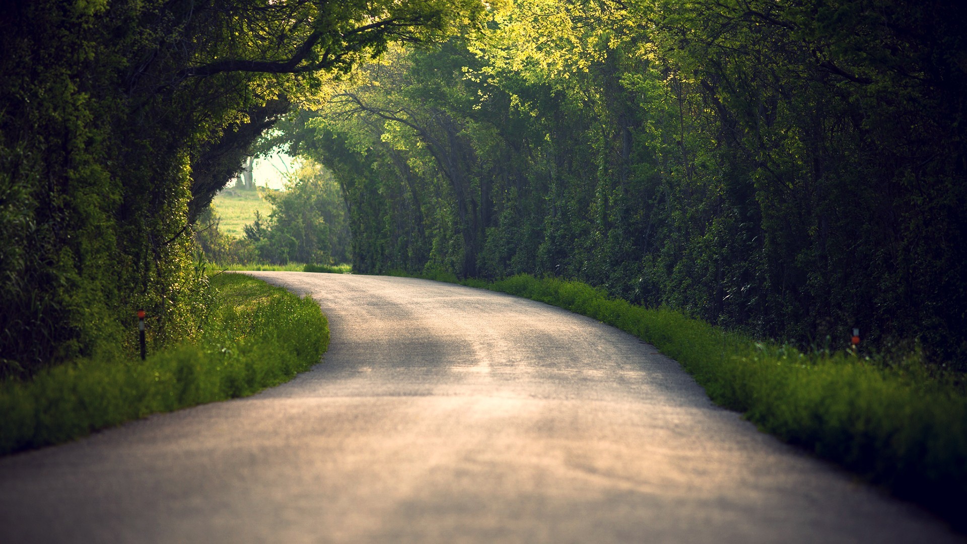 descargar fondo de pantalla 1920x1080,paisaje natural,naturaleza,verde,árbol,la carretera