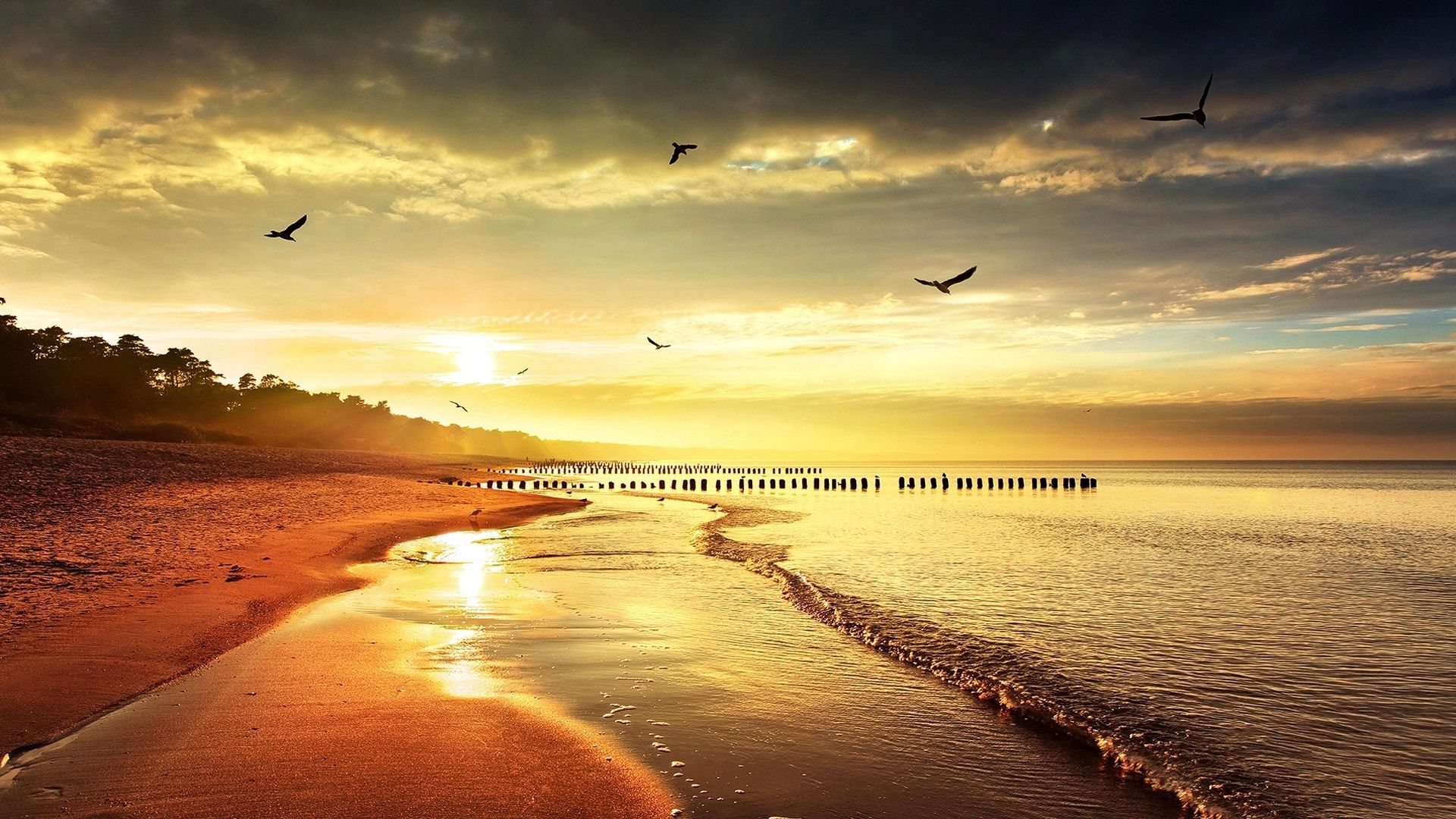 scarica lo sfondo 1920x1080,cielo,natura,riva,mare,mattina
