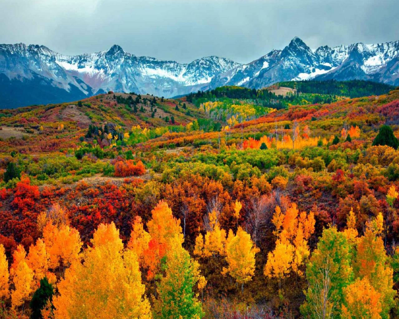 コロラド山脈の壁紙,自然の風景,自然,山,葉,木
