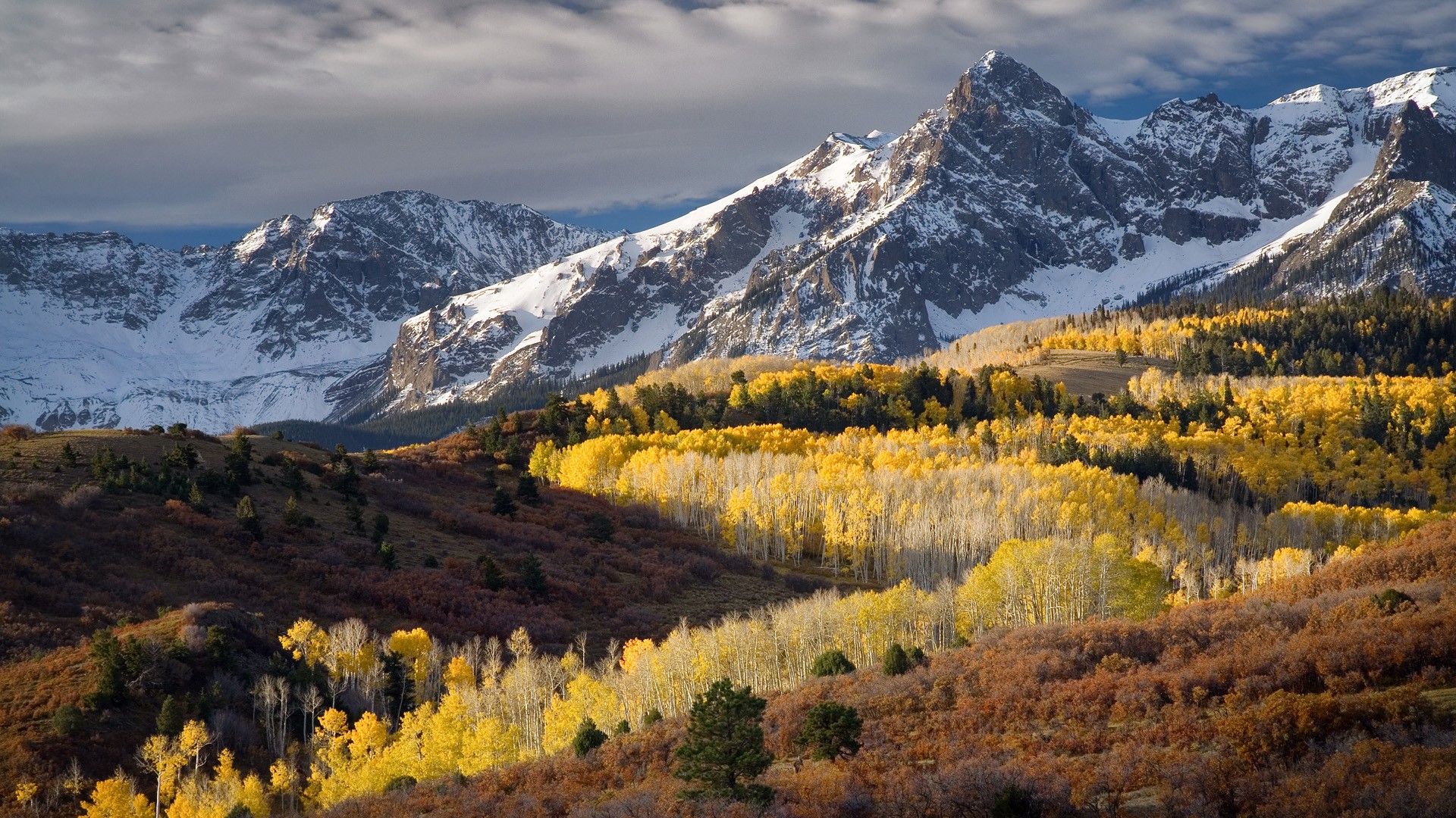 colorado berge tapete,berg,natürliche landschaft,natur,gebirge,larix lyalliisubalpin lärche