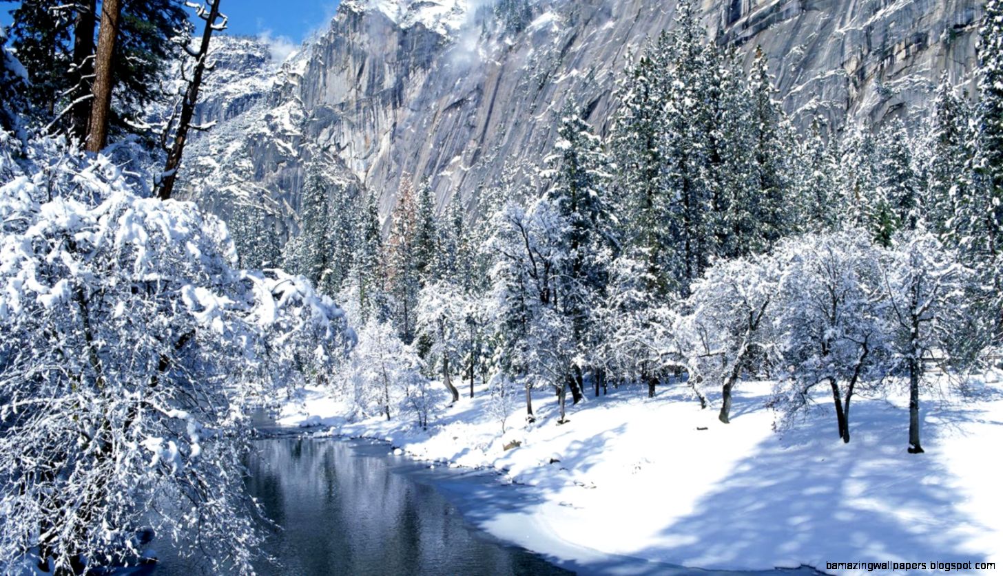 美しい冬の壁紙,雪,冬,自然の風景,自然,木