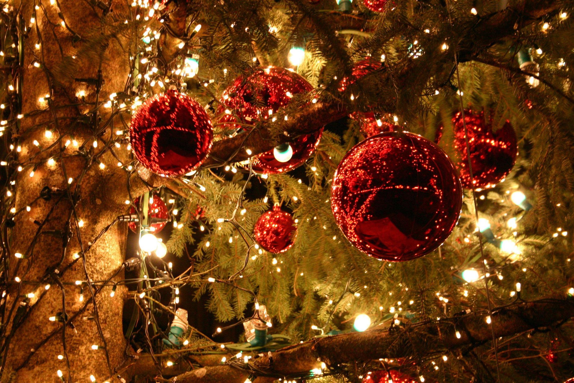 高解像度のクリスマスの壁紙,クリスマスオーナメント,クリスマスの飾り,クリスマス,クリスマスツリー,木