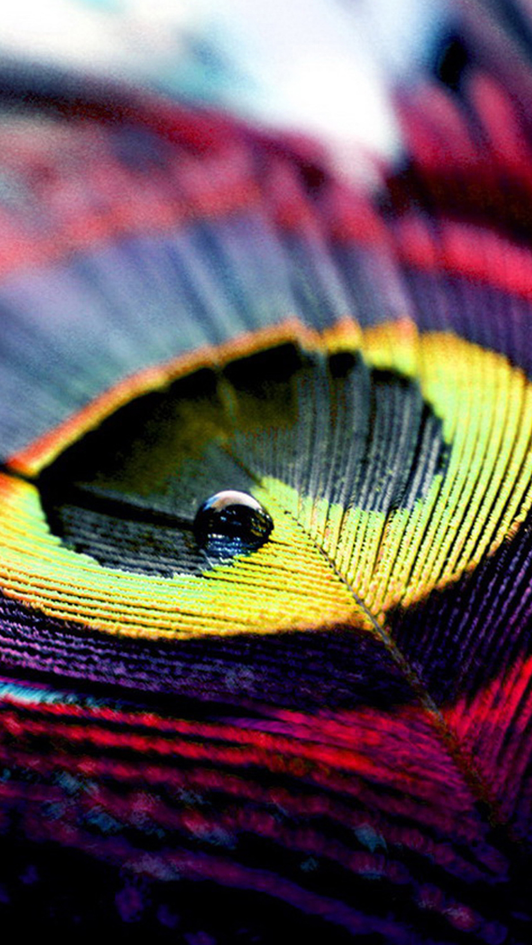 htc mobile wallpaper,feather,macro photography,purple,close up,violet