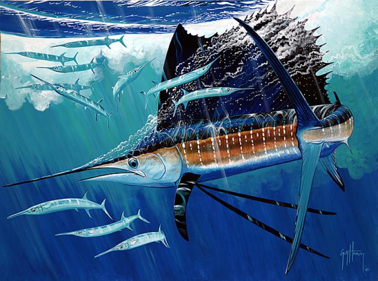 guy harvey wallpaper,sailfish,atlantic blue marlin,whale shark,marlin,marine biology