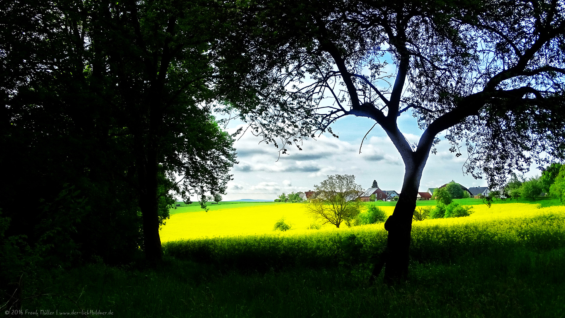 fondo de pantalla surga,paisaje natural,naturaleza,verde,árbol,pradera