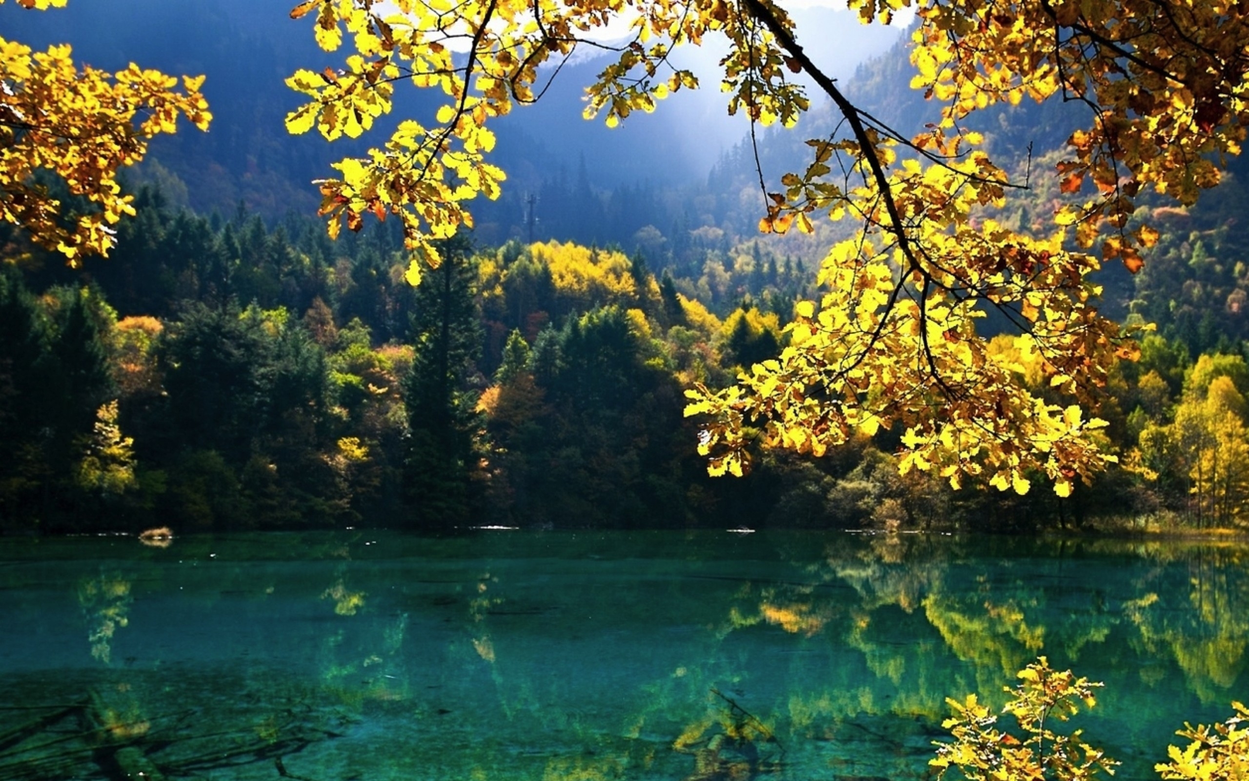 fondo de pantalla resolusi tinggi,paisaje natural,naturaleza,árbol,reflexión,agua