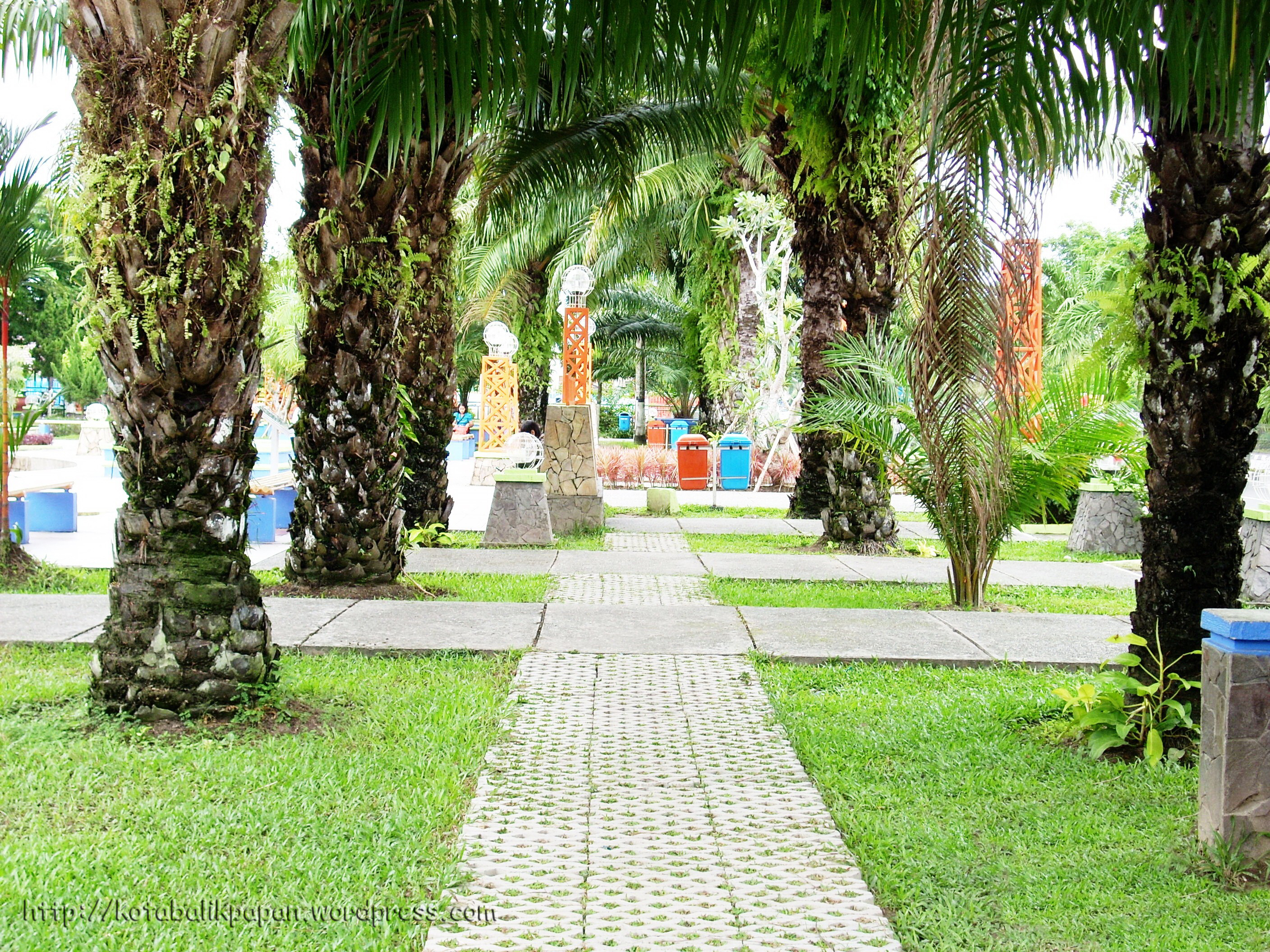 wallpaper taman,tree,property,palm tree,arecales,grass