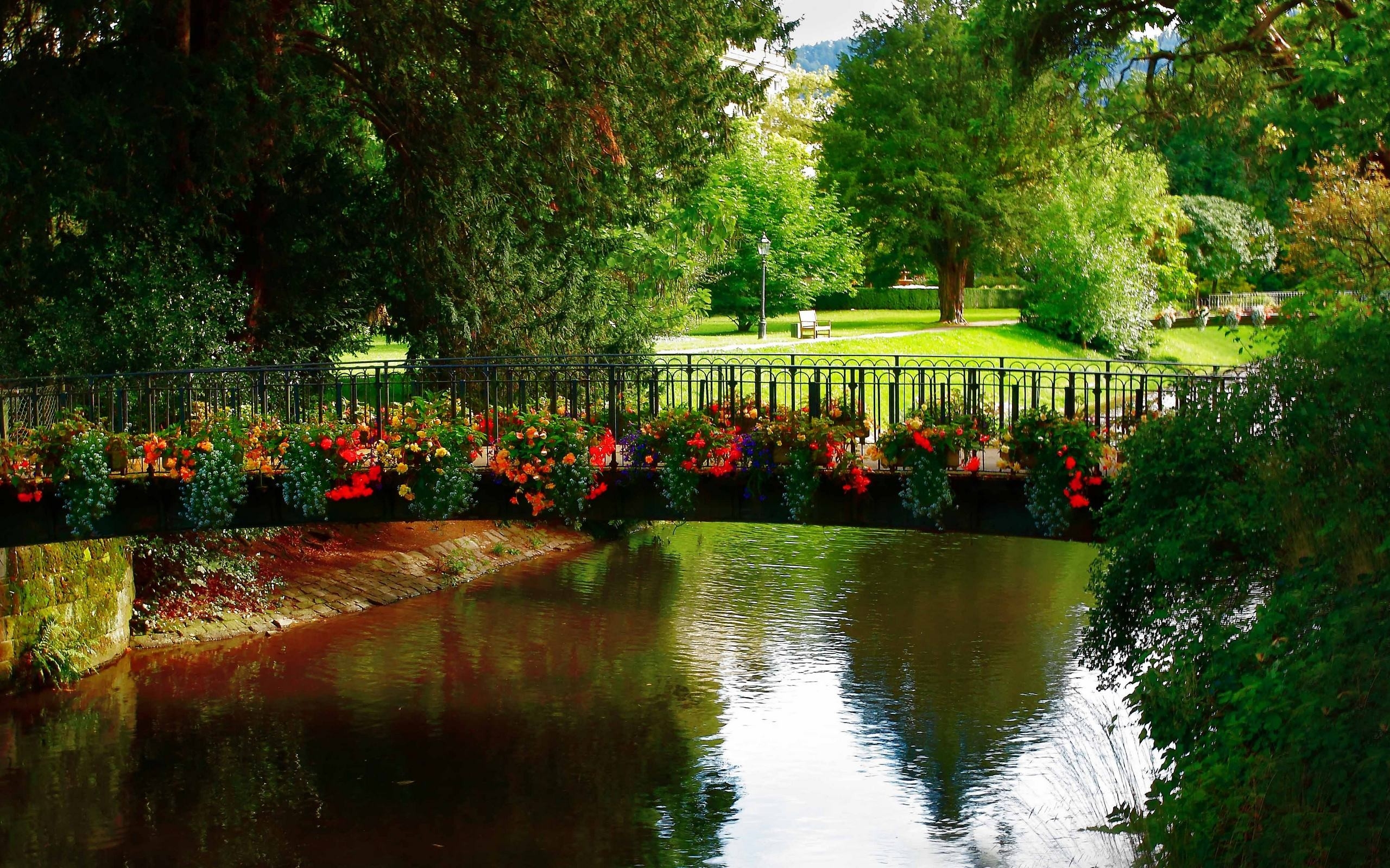 wallpaper taman,nature,natural landscape,reflection,garden,botanical garden