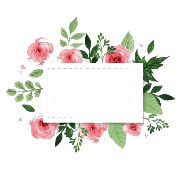 fondo de pantalla olshop,rosado,negro,rosa,flor,diseño floral