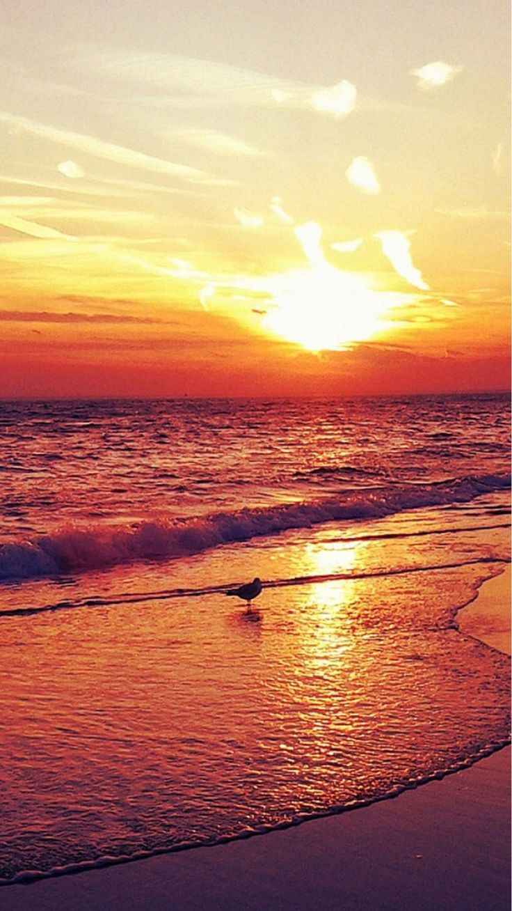 beaux fonds d'écran de facebook,ciel,horizon,lever du soleil,mer,océan