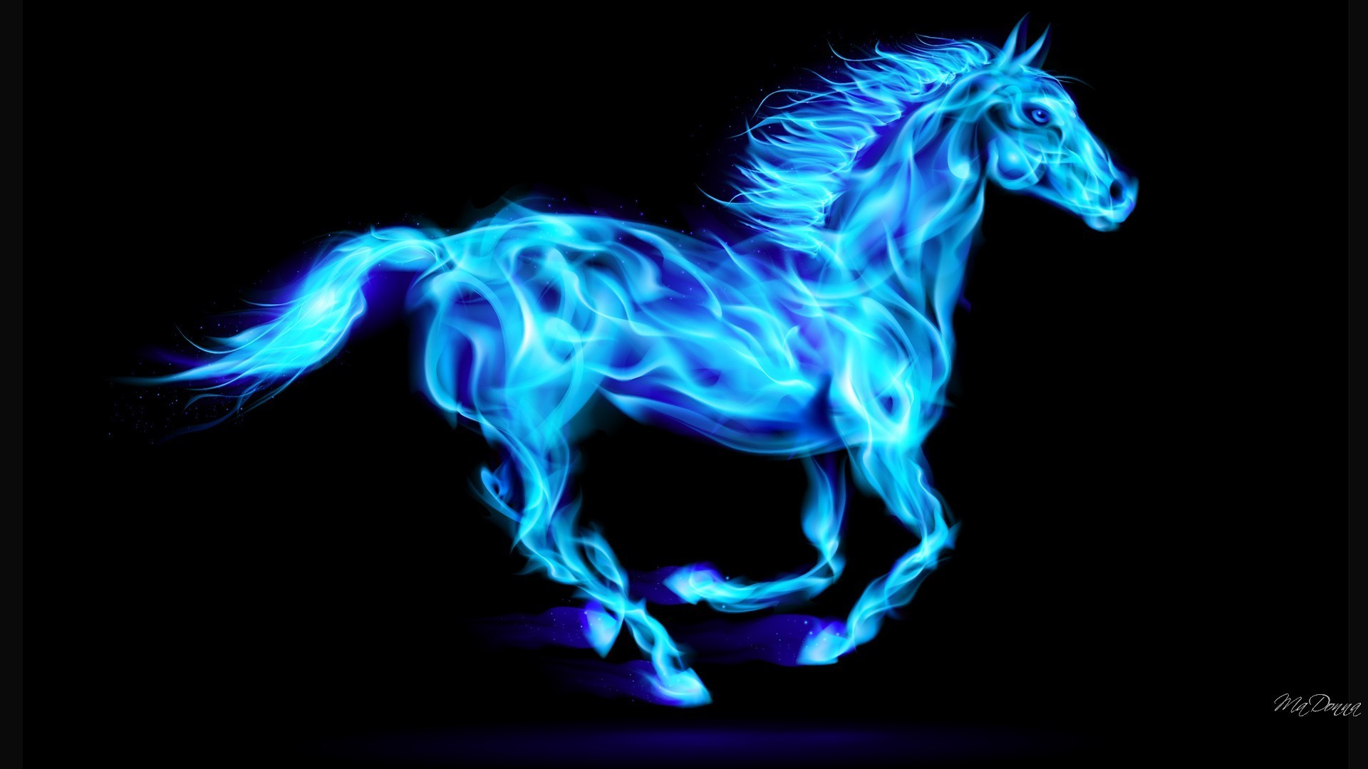 cool horse wallpapers,blue,horse,electric blue,organism,mane