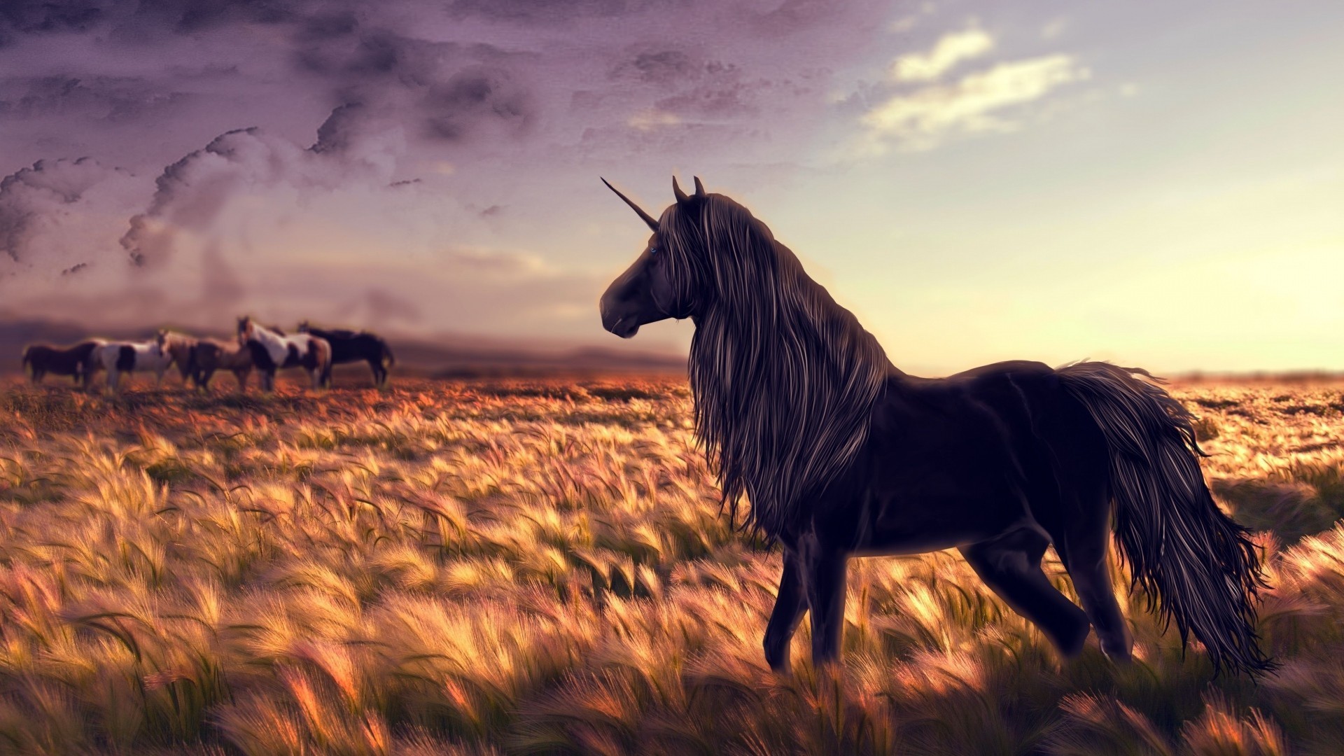 クールな馬の壁紙,うま,空,たてがみ,草原,マスタング馬