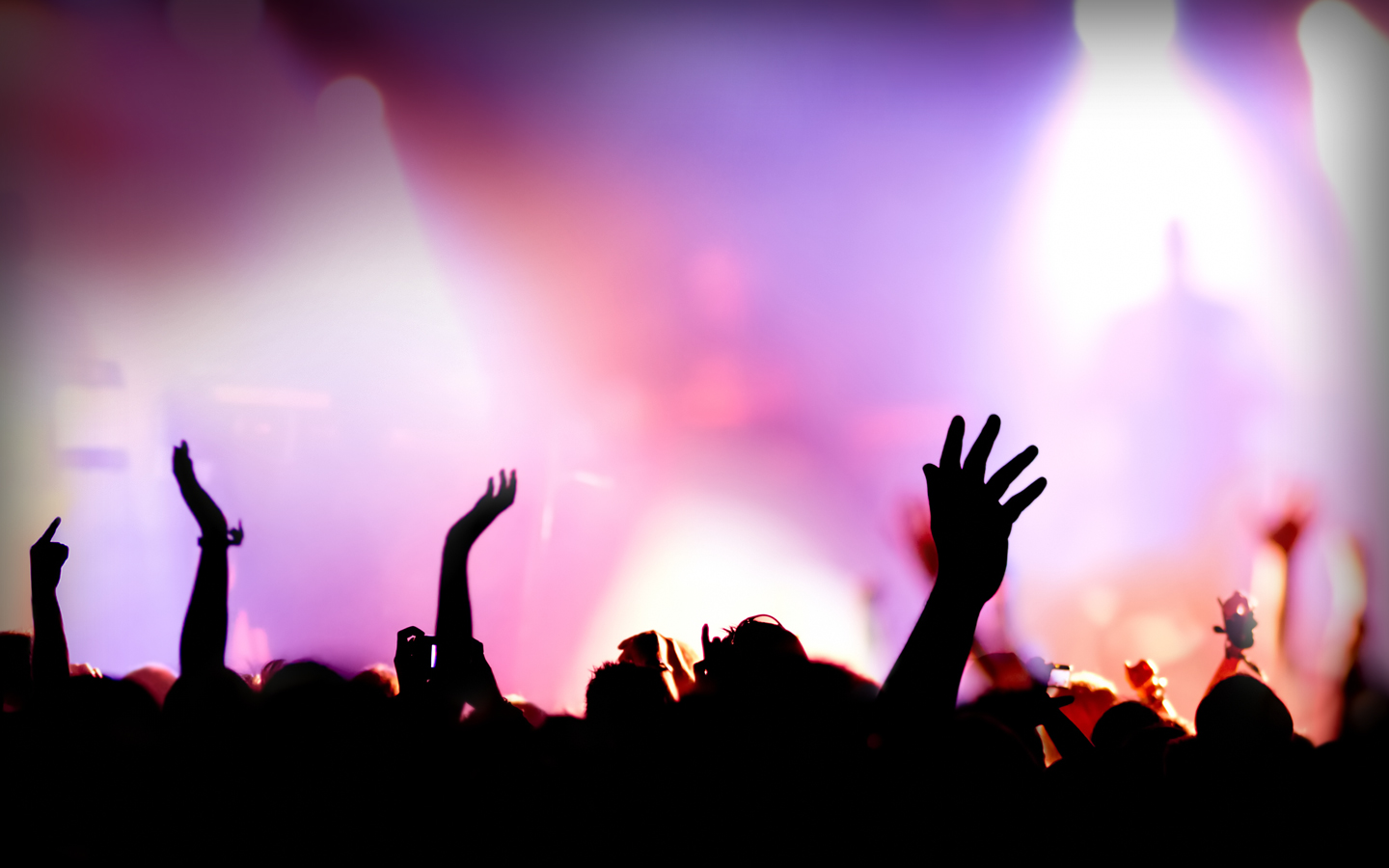 fondo de pantalla de eventos,actuación,multitud,entretenimiento,personas,concierto de rock