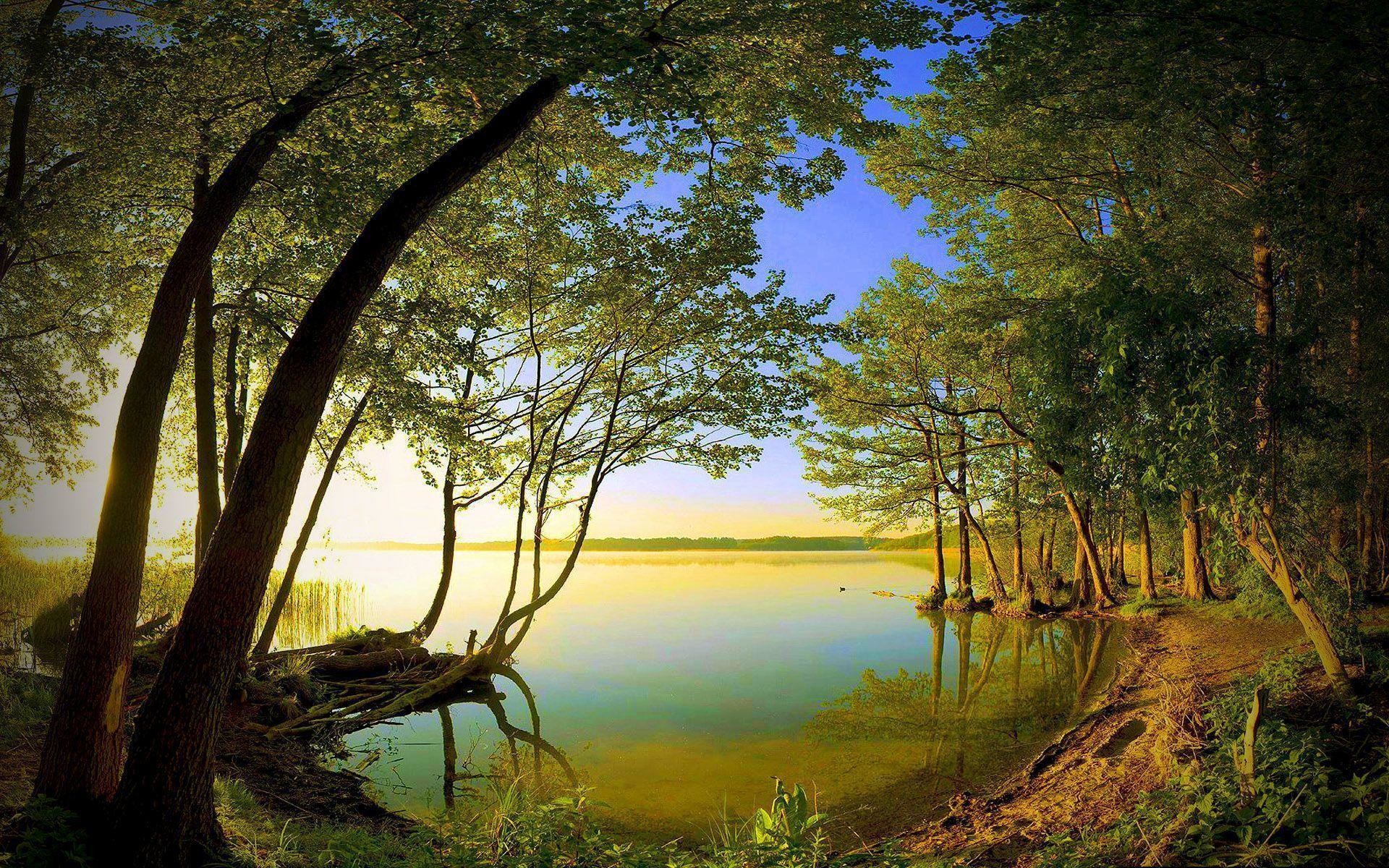 fondo de pantalla para escritorio de tamaño completo,paisaje natural,naturaleza,árbol,reflexión,cielo