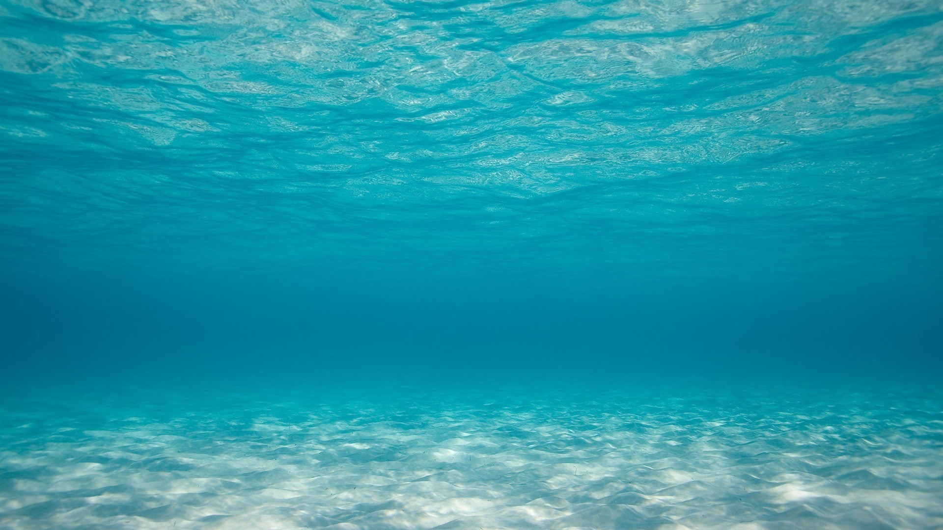 深海の壁紙,青い,水,アクア,ターコイズ,空