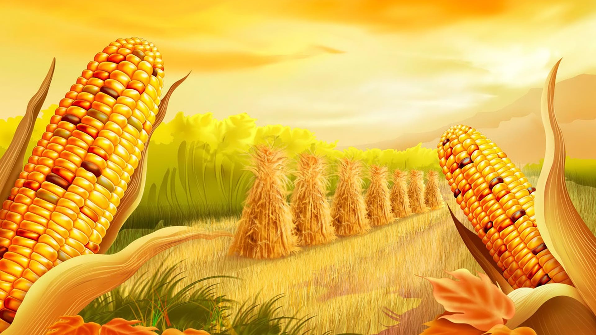 corn wallpaper,corn kernels,corn,sweet corn,corn on the cob,natural foods