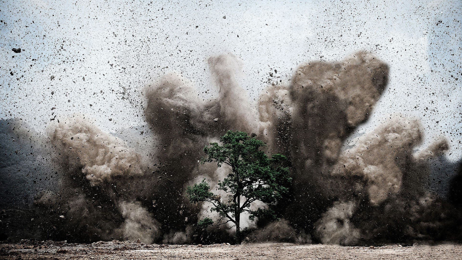 fondo de pantalla de polvo,árbol,cielo,planta leñosa,atmósfera,explosión