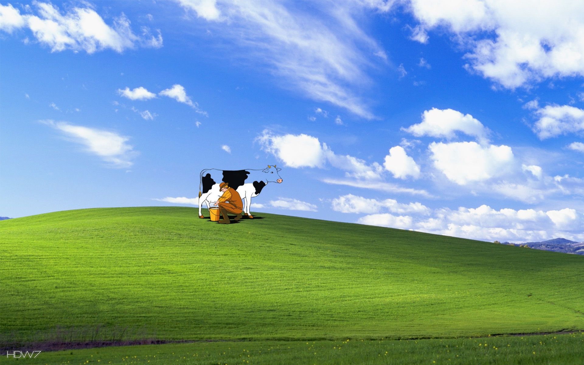 divertente sfondo di windows,prateria,cielo,verde,natura,erba