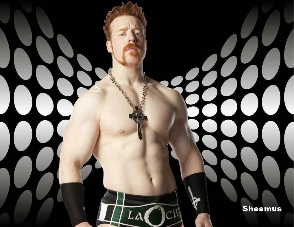 sheamus wallpaper,barechested,wrestler,chest,muscle,professional wrestling