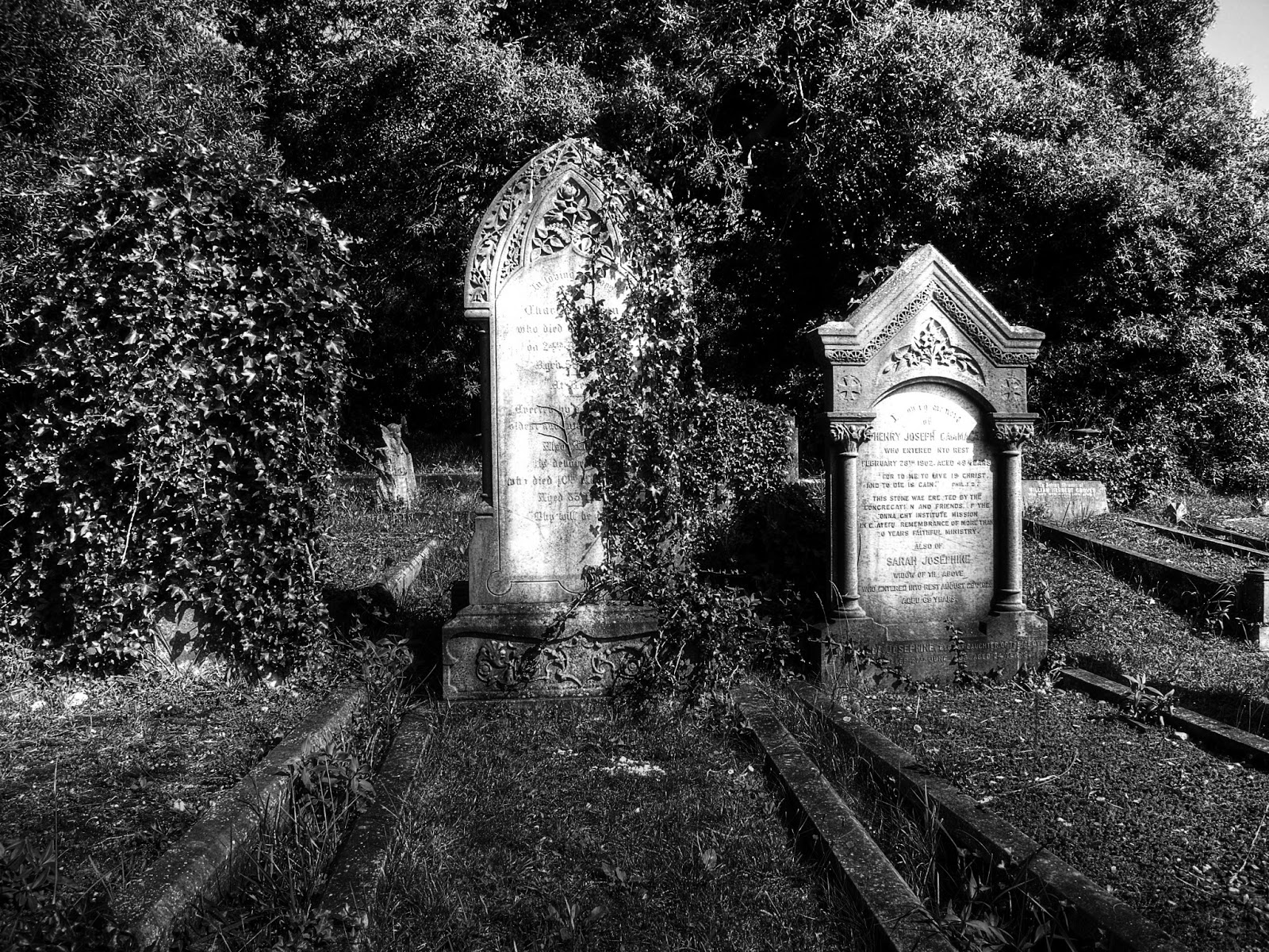 friedhof tapete,fotografieren,schwarz und weiß,grabstein,monochrome fotografie,einfarbig