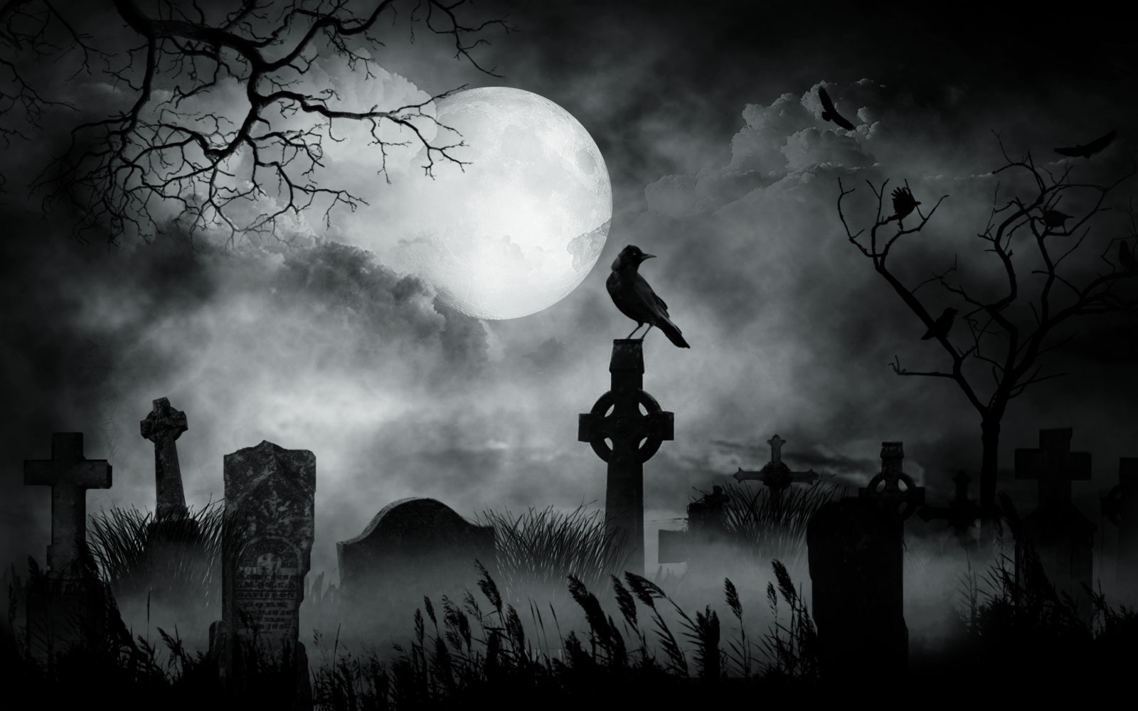 graveyard wallpaper,atmospheric phenomenon,darkness,atmosphere,sky