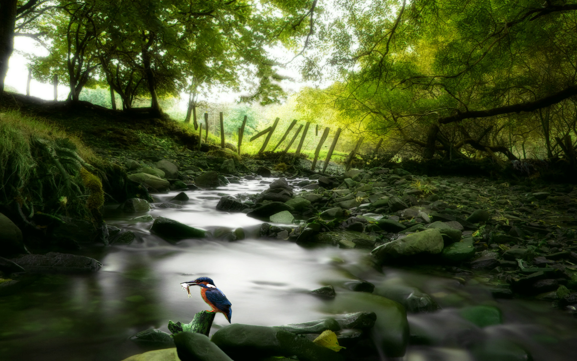 1900x1200壁紙,自然の風景,自然,水域,水路,水資源