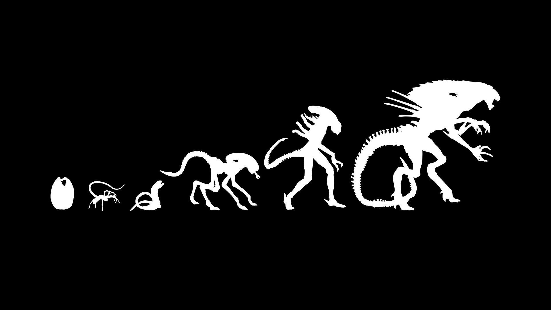 Evolution Wallpaper- WallpaperUse