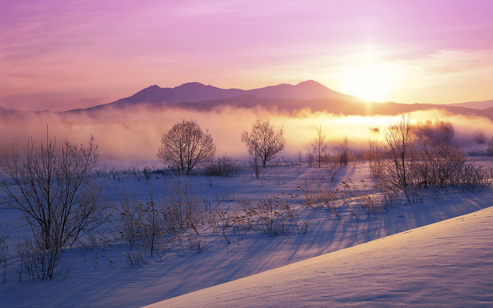 夜明けの壁紙,空,自然,冬,自然の風景,雪