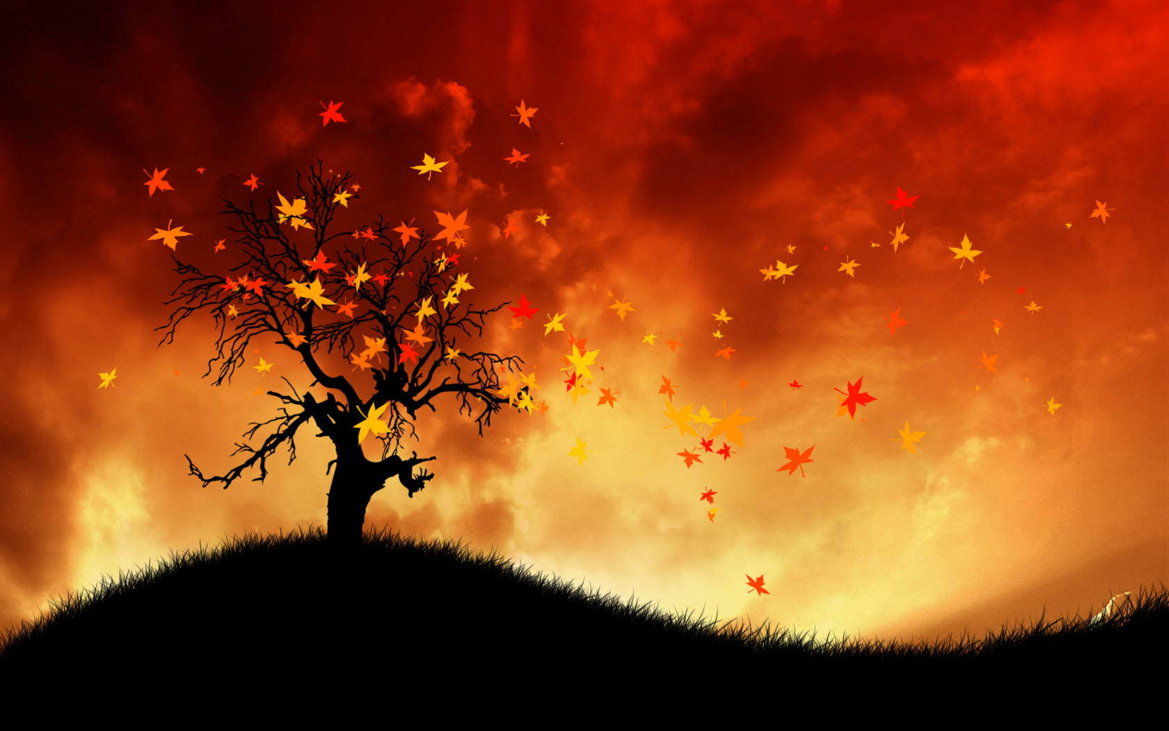 wind wallpaper,nature,red,sky,tree,atmospheric phenomenon