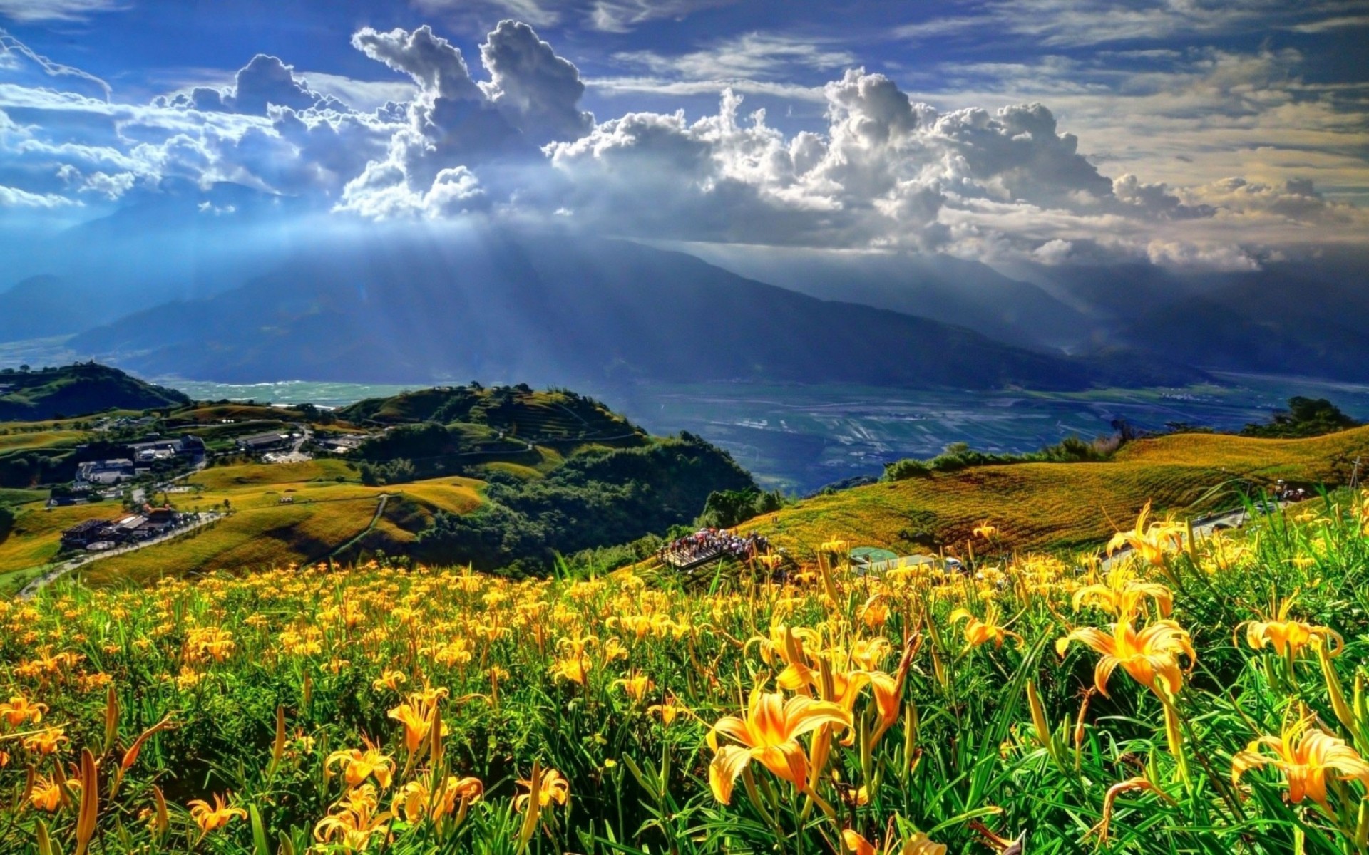 doğa wallpaper,natural landscape,nature,sky,meadow,wildflower