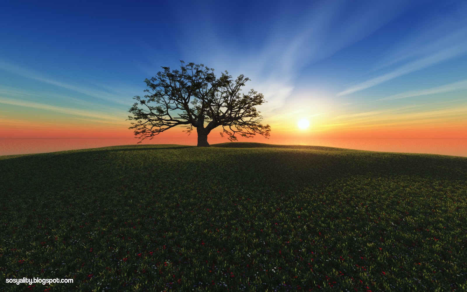 doa tapete,natürliche landschaft,himmel,natur,horizont,baum