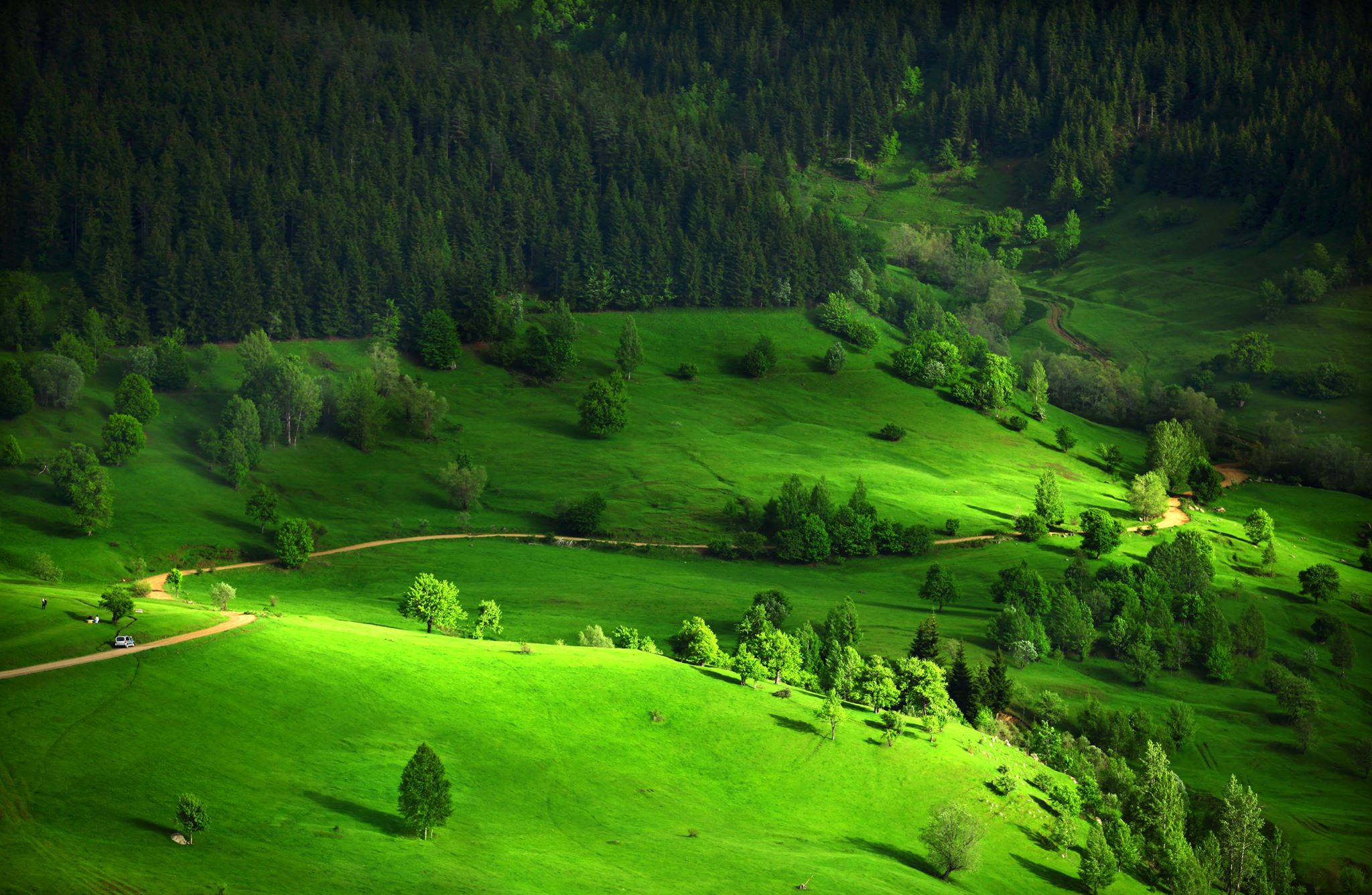 doğa wallpaper,green,nature,natural landscape,grassland,highland