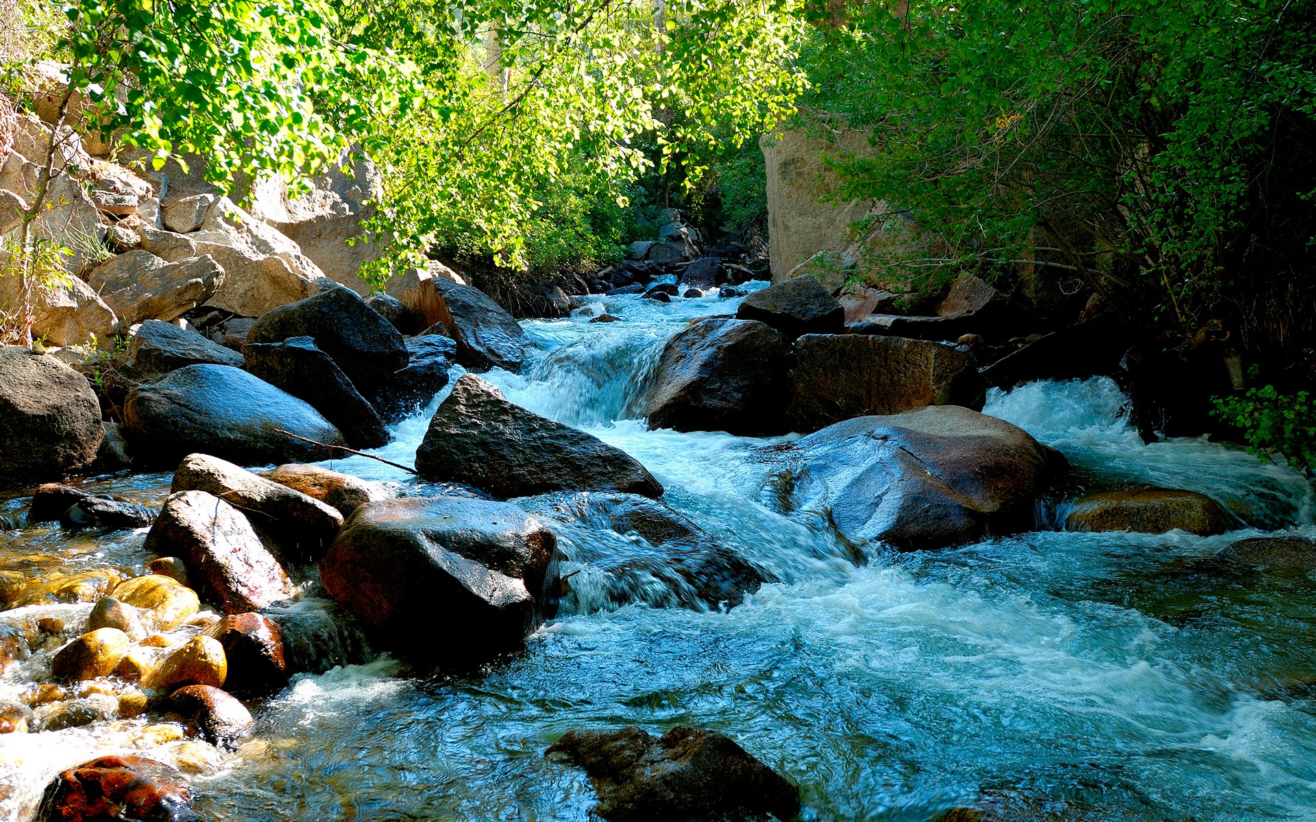 carta da parati doa,risorse idriche,corpo d'acqua,ruscello,paesaggio naturale,natura