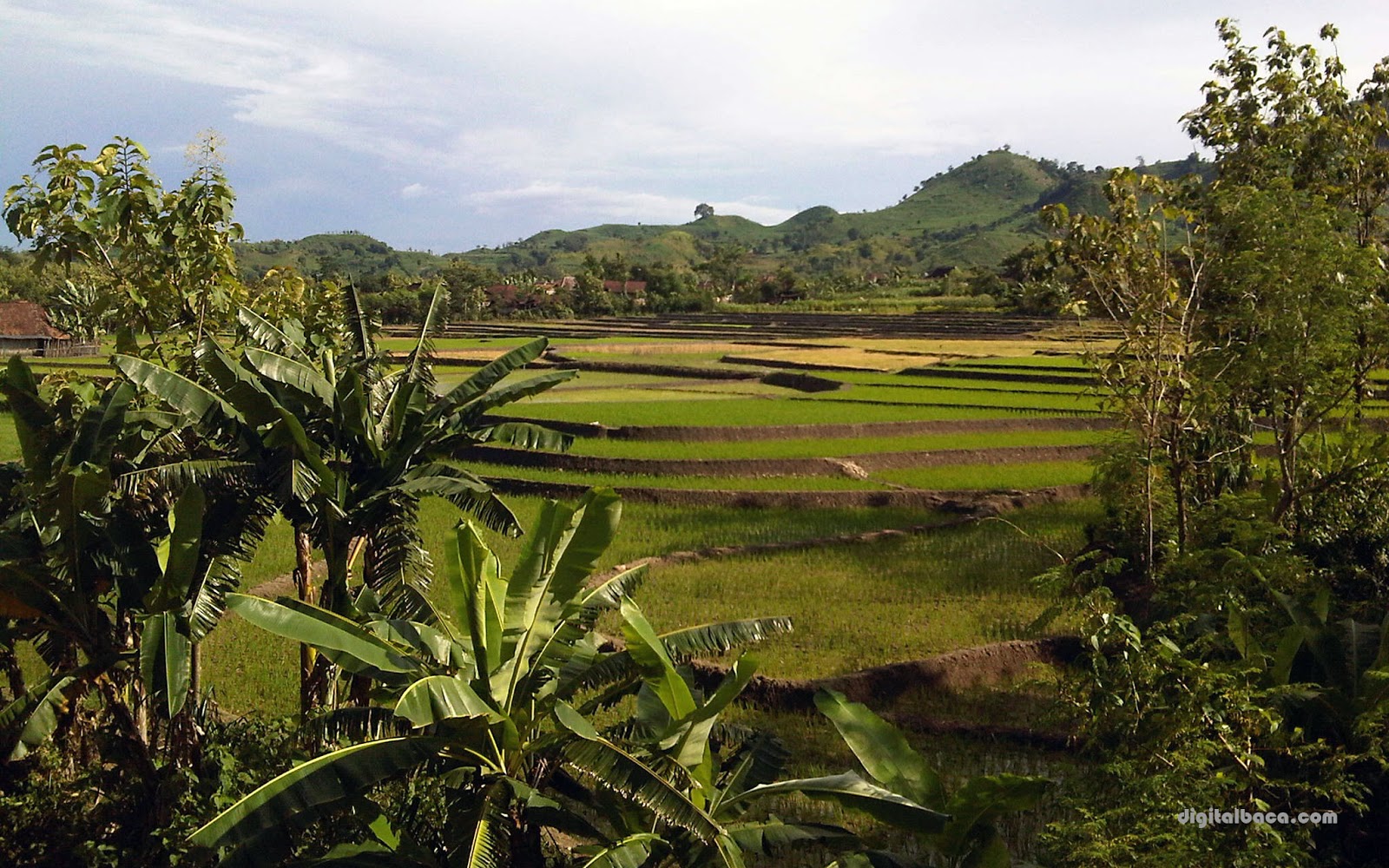 wallpaper pemandangan alam dan pedesaan,natural landscape,nature,vegetation,sport venue,natural environment