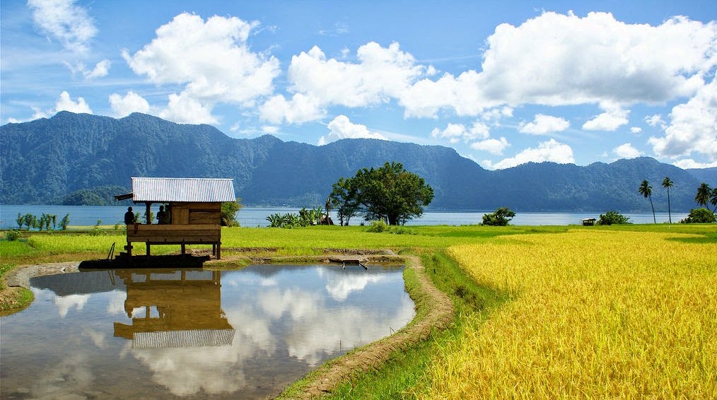 wallpaper pemandangan alam dan pedesaan,natural landscape,nature,grassland,water resources,natural environment